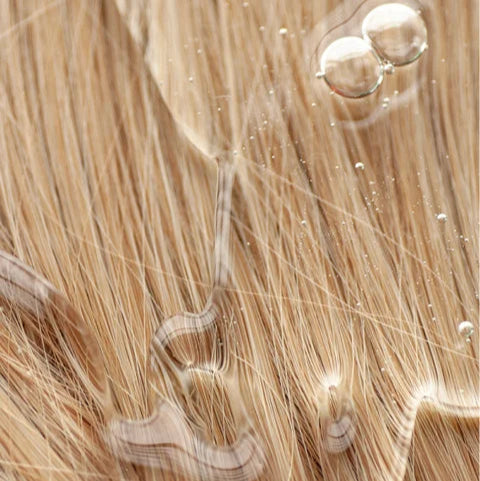 Gloss Shampoo, Smoky Green Vetiver