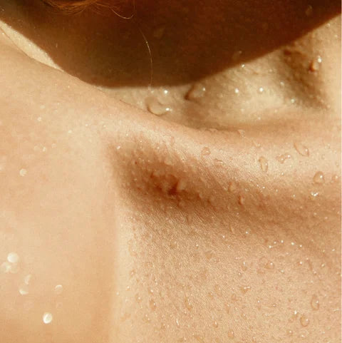 Gloss Shampoo, Smoky Green Vetiver